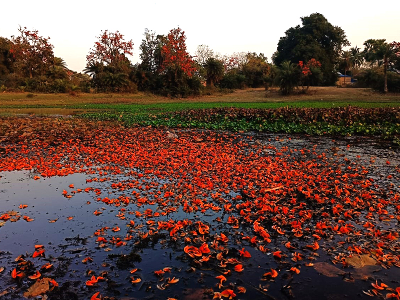 Open Stage at Baul Sangee